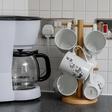 The Curated Corner *