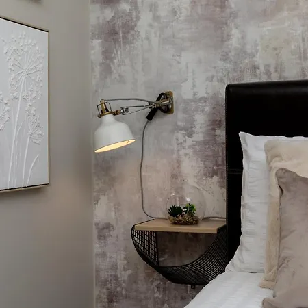 The Curated Corner