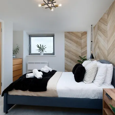 The Curated Corner