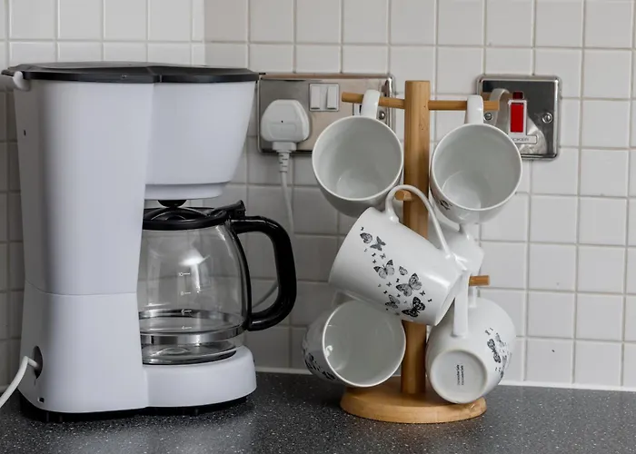 The Curated Corner *